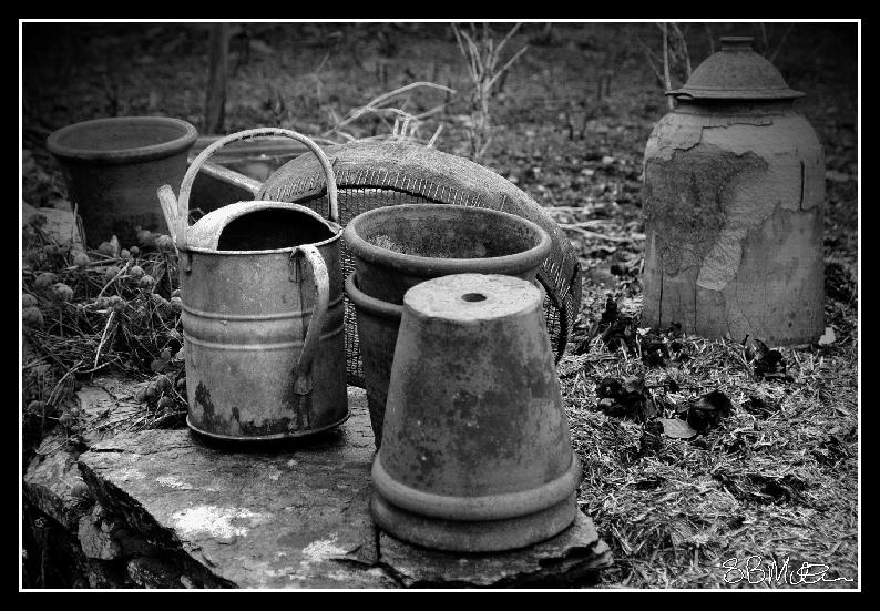 Beatrix Potter's Garden: Photograph by Steve Milner